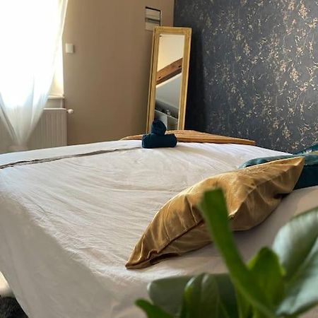 Appartement De Charme 80M2 Givors Εξωτερικό φωτογραφία