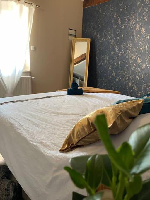 Appartement De Charme 80M2 Givors Εξωτερικό φωτογραφία