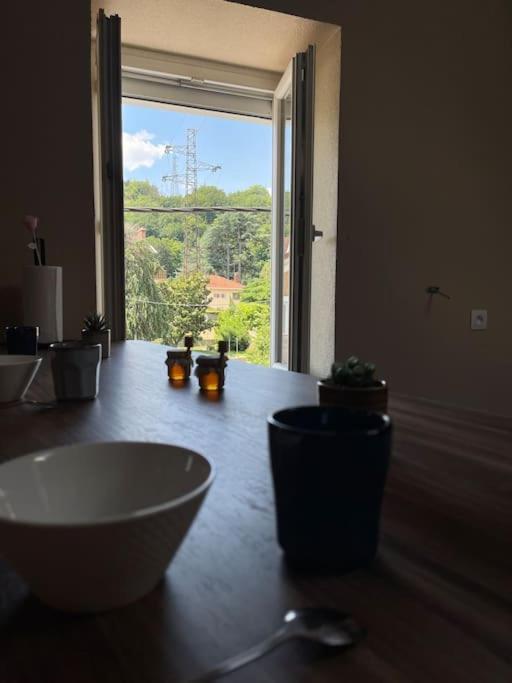 Appartement De Charme 80M2 Givors Εξωτερικό φωτογραφία
