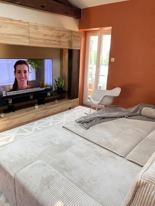 Appartement De Charme 80M2 Givors Εξωτερικό φωτογραφία