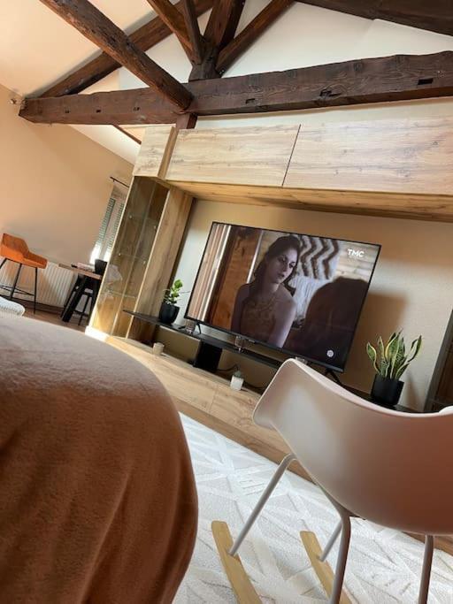 Appartement De Charme 80M2 Givors Εξωτερικό φωτογραφία